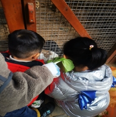 D9A8E0B59BCAB3E729D805DE991BB5BA