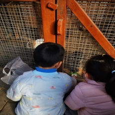 A3697010026A24AA22E55149D933A84D