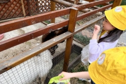 6F6DD0A36D058D7F1F33112E4681815D