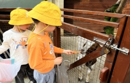 B286EB77CC2FC4934F00B715CA4CFB74