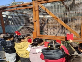 IMG_4325(20230216-121001)