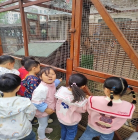 EED1A40EB7C210FB0EDEE34204448606