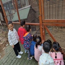 AAB9B1F8BD9FC559F5A44B791A8FF975