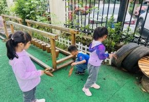 IMG_6412(20230606-082251)