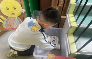 IMG_0727(20230605-092428)