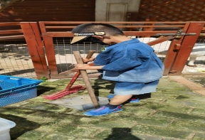 QQ图片20230619161629