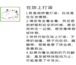 IMG_1731(20230626-111459)