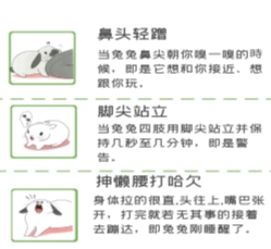 IMG_1730(20230626-111455)