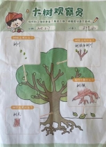QQ图片20250325130212