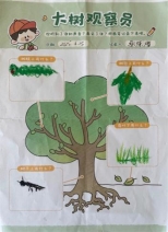 QQ图片20250325130218