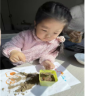 图片8