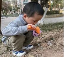 图片6