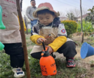 图片5