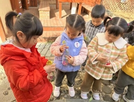 QQ图片20250413174549(32)