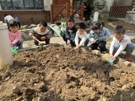 QQ图片20250413175312(7)