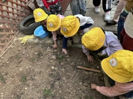 QQ图片20250413175329(2)