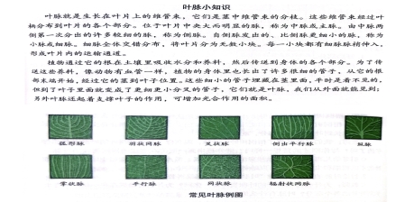 IMG_0964(20240927-100308)(1)